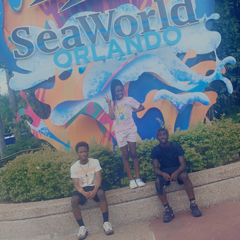 Meet your Posher, Queen